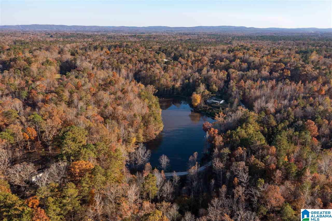300 Henderson Lake Road Sylacauga, AL 35151 - Photo 11 of 20