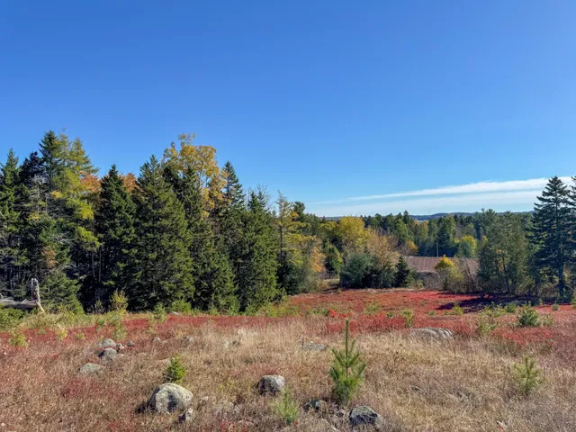 $125,000 | Lot 48 Getchell Lane, Machias, ME 04654