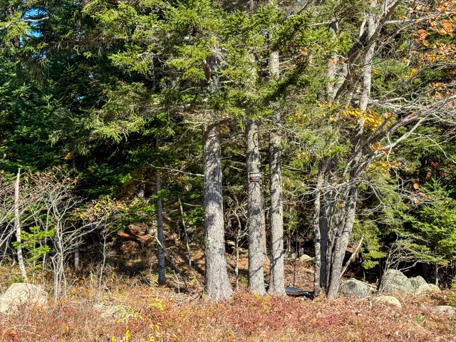 $125,000 | Lot 48 Getchell Lane, Machias, ME 04654