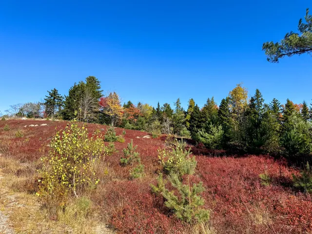 $125,000 | Lot 48 Getchell Lane, Machias, ME 04654