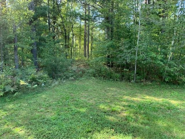 5239 Turtle Road Turner, MI 48765 - Photo 25 of 28 1893000-25.JPG