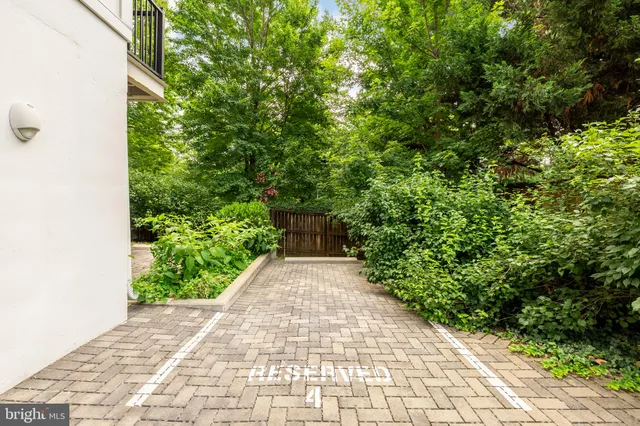 a view of a pathway with plants and large trees
