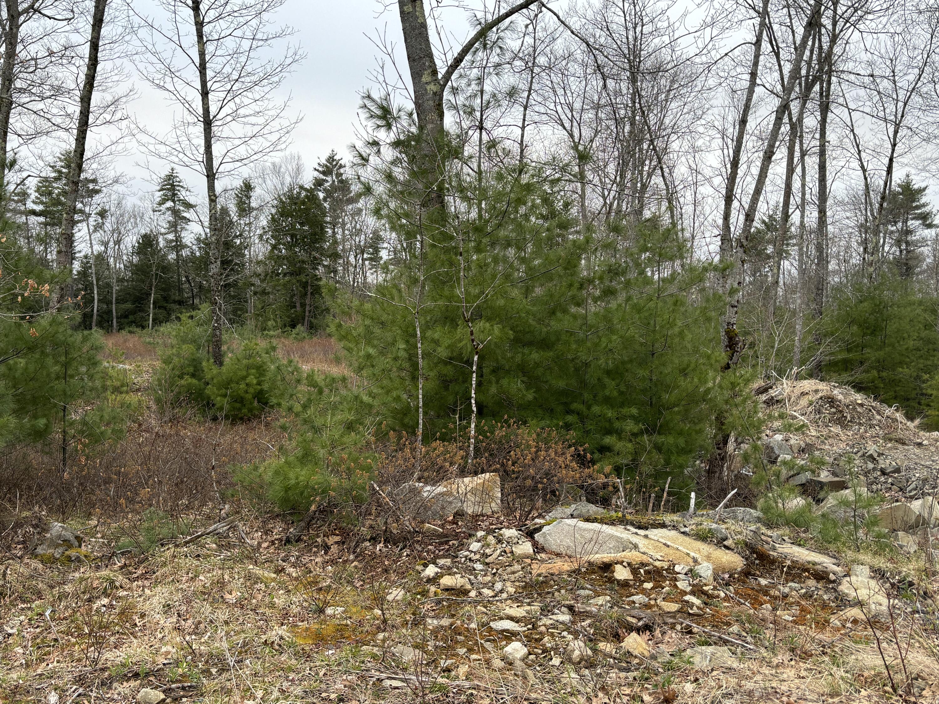 Lot 4 Webber Ridge Ln Wells Wells, ME 04090 - Photo 5 of 32 IMG_1880