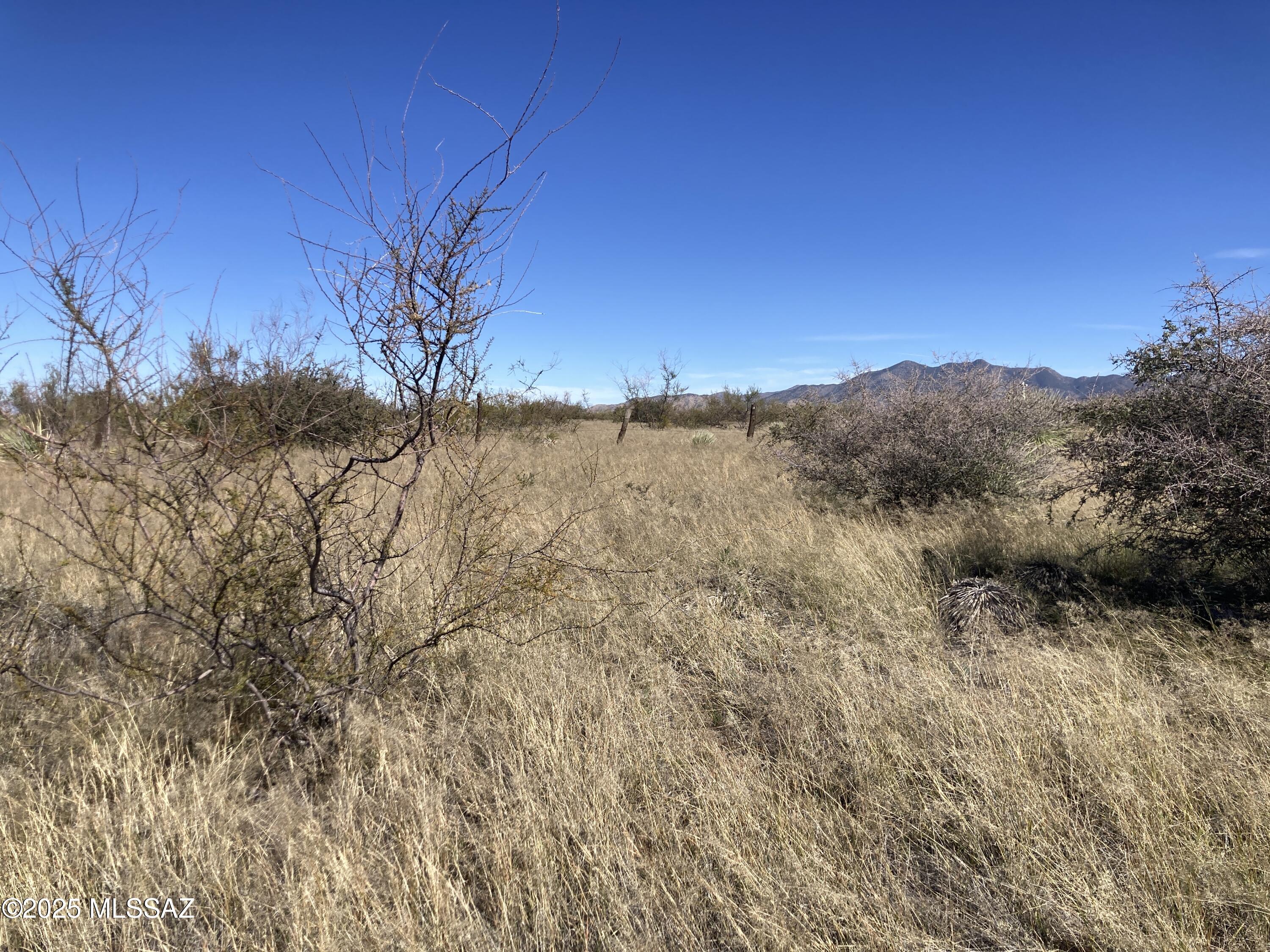 27809 South Wagon Rim Road Elgin, AZ 85611 - Photo 5 of 10