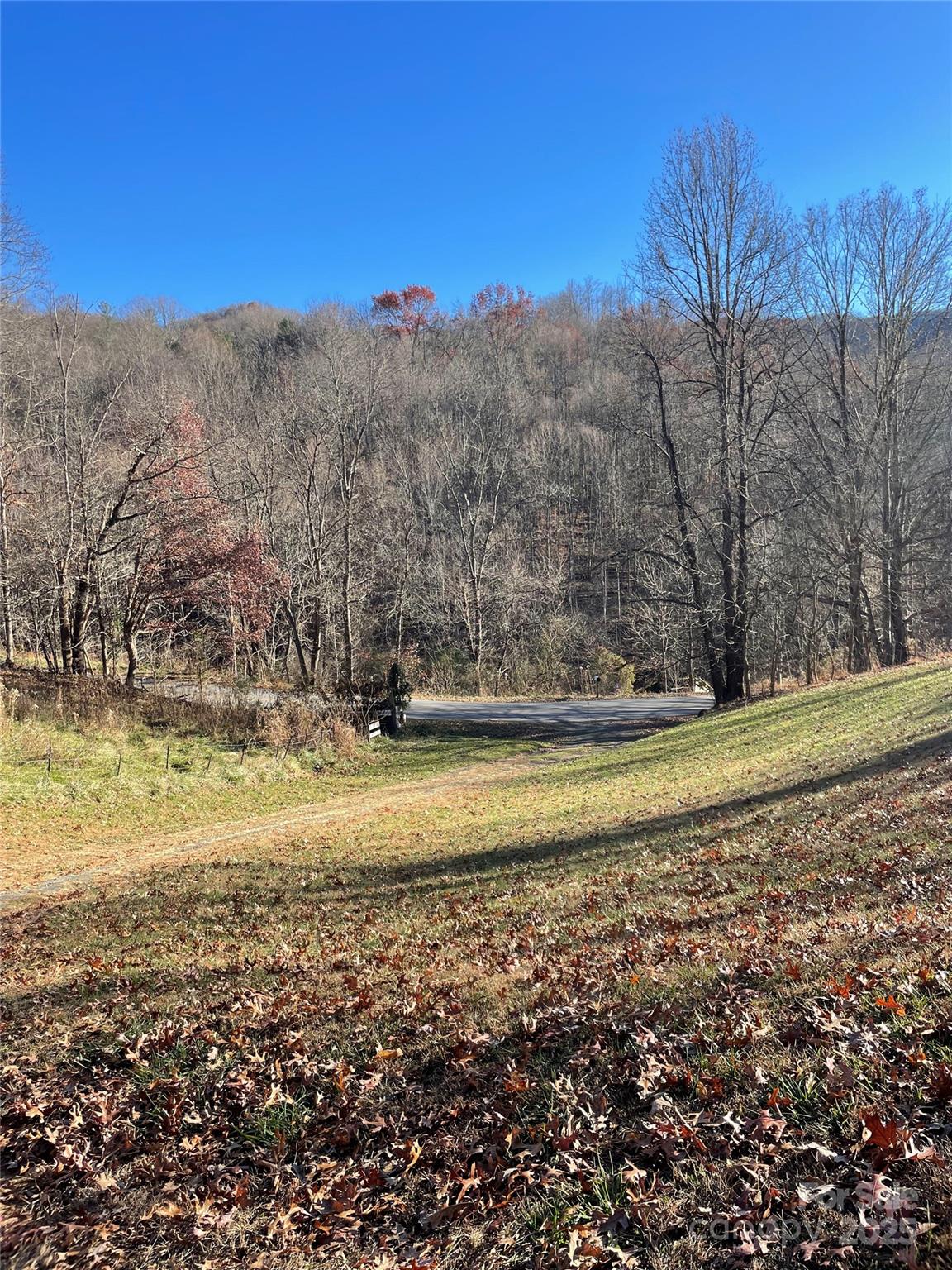 3265 Revere Road Marshall, NC 28753 - Photo 5 of 23 a view of a yard with a house