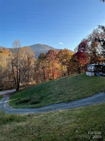 a view of a yard with an trees