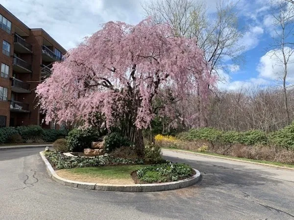 a view of a fountain in middle of the house