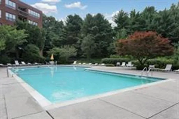a view of swimming pool with a yard