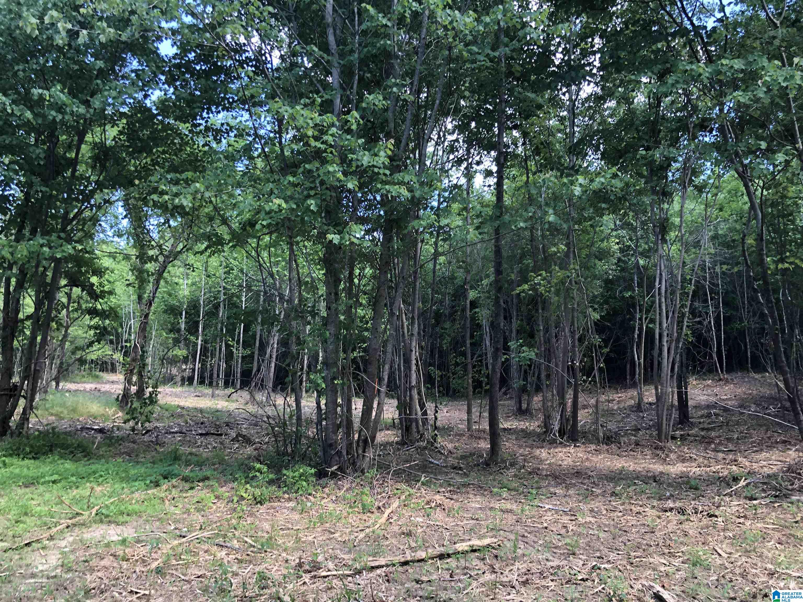 0 Peeks Hill Road, Unit 3 Ohatchee, AL 36271 - Photo 9 of 10