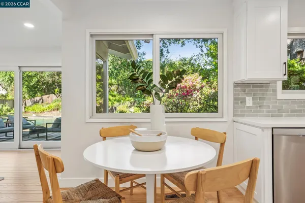 a kitchen with a sink a potted plant and windows