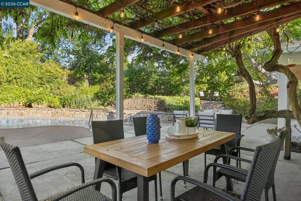 a view of a yard with plants and large trees