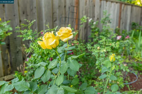 a view of yard with seating area and lake view