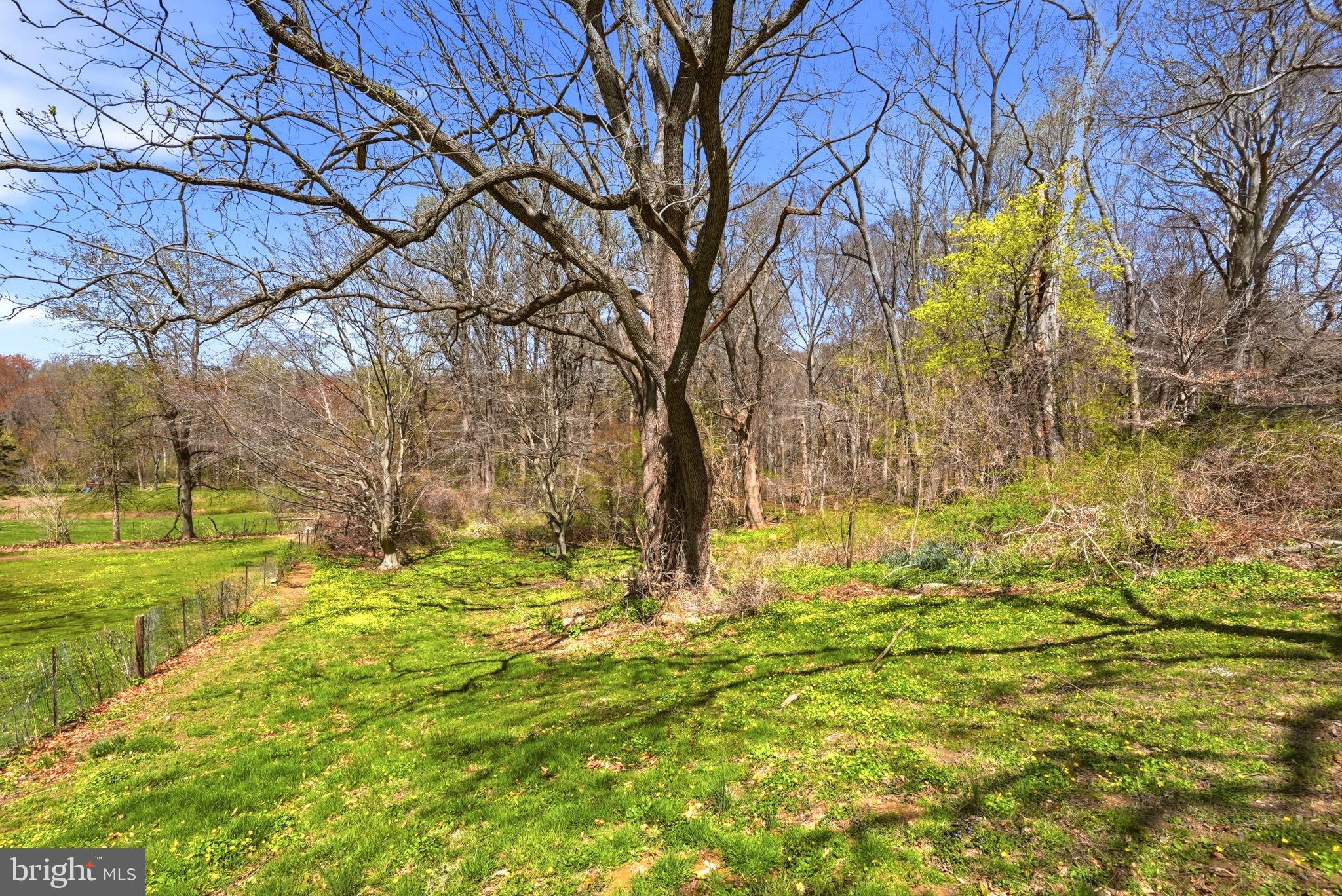 123 East Harmony Road West Grove, PA 19390 - Photo 58 of 61