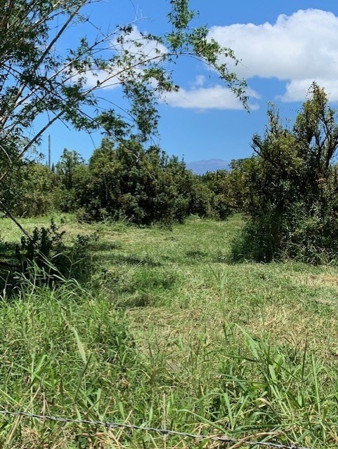 17-588 Volcano Road Kurtistown, HI 96760 - Photo 6 of 20 Gallery Image 6