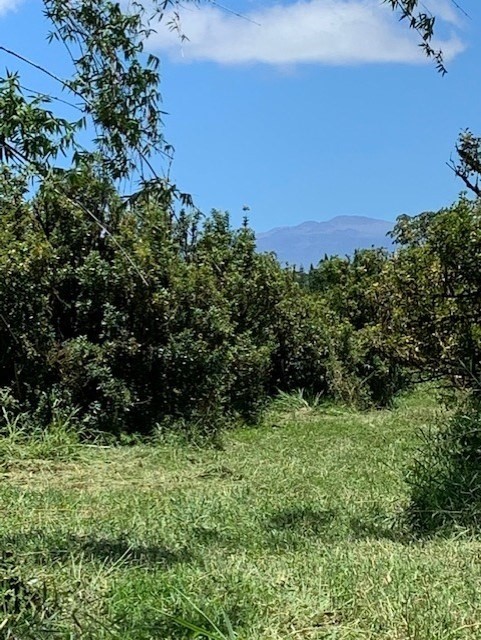 17-588 Volcano Road Kurtistown, HI 96760 - Photo 7 of 20 Gallery Image 7