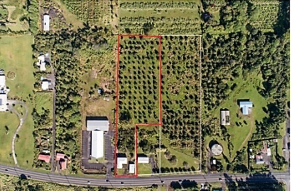 17-588 Volcano Road Kurtistown, HI 96760 - Photo 8 of 20 Gallery Image 8