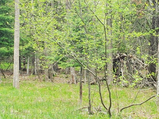 44 Rolling Hills Road West Branch, MI 48661 - Photo 2 of 8