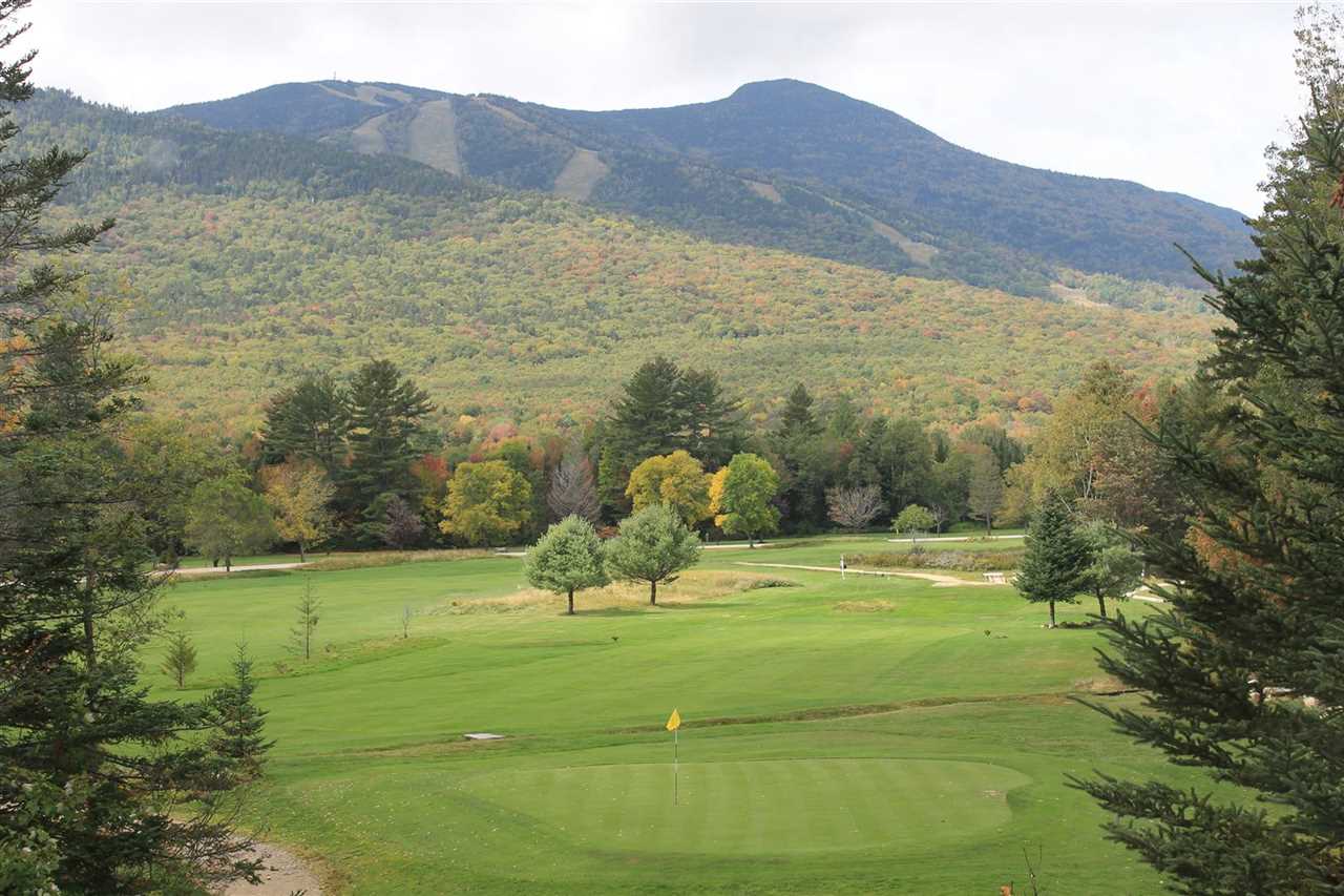 9 Drake's Brook Road, Unit 9 Waterville Valley, NH 03215 - Photo 8 of 37