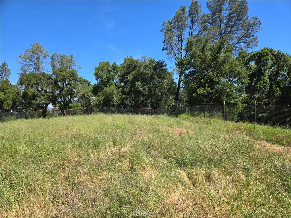 a view of a yard with a tree