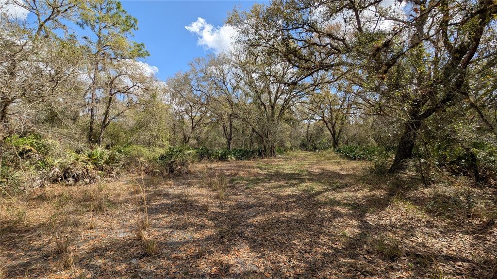 Gillette Road Zolfo Springs, FL 33890 - Photo 29 of 86 Gallery Image 29