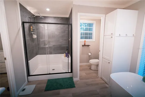 a bathroom with a shower and a toilet