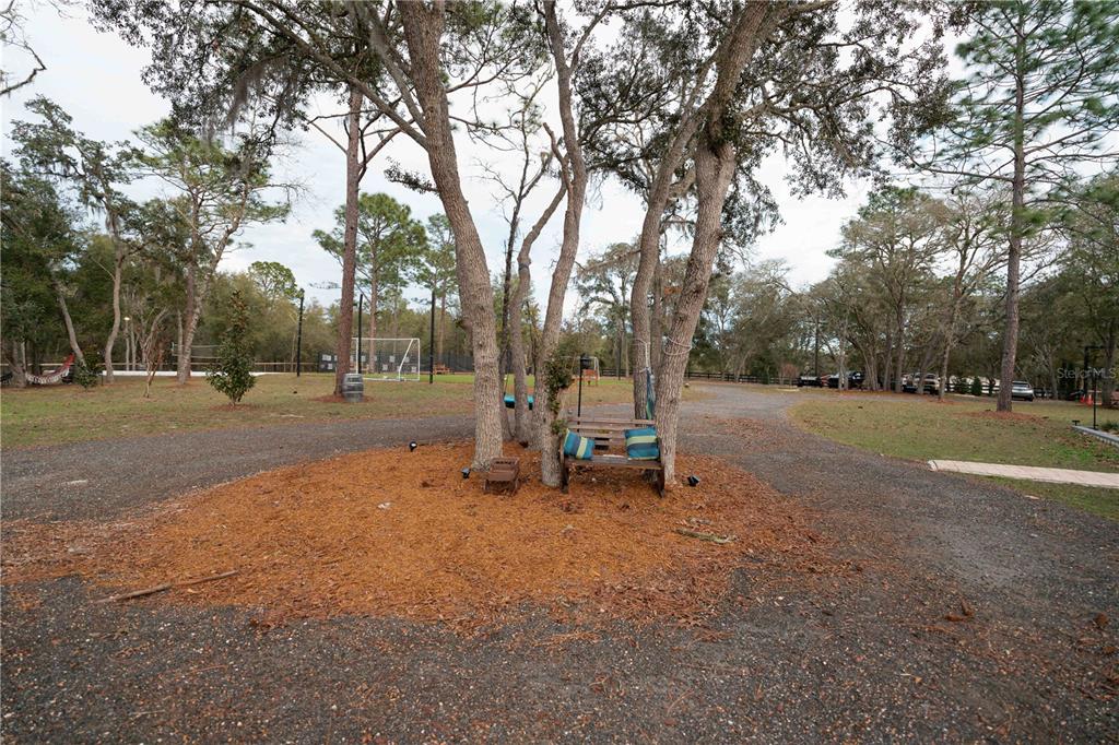 7670 Northeast 97th Court Bronson, FL 32621 - Photo 28 of 58 a view of a park with swings and a slide
