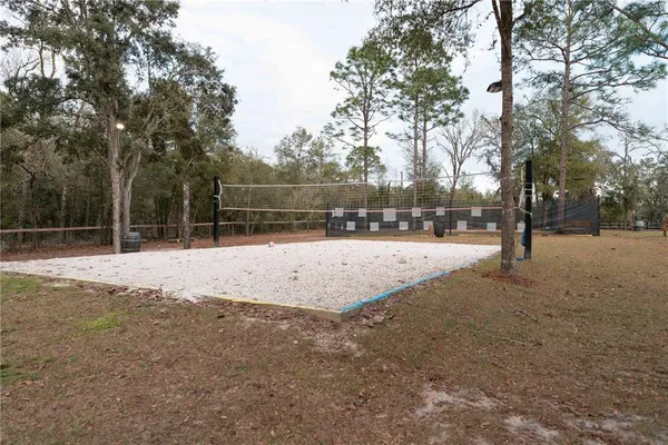a view of a field with of trees