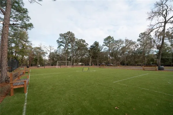 a view of outdoor space with yard