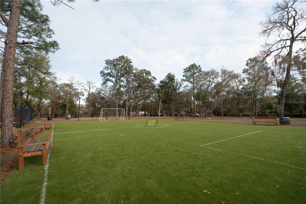7670 Northeast 97th Court Bronson, FL 32621 - Photo 48 of 58 a view of a field with of trees