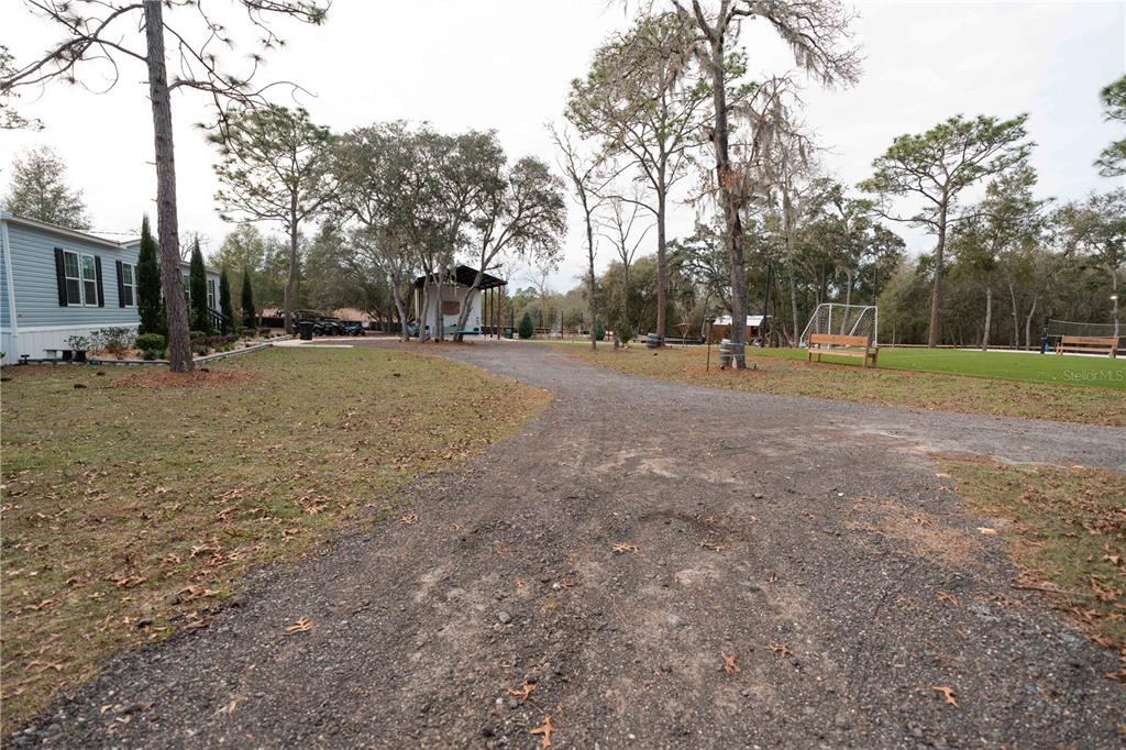 7670 Northeast 97th Court Bronson, FL 32621 - Photo 51 of 58 a view of dirt yard with a trees