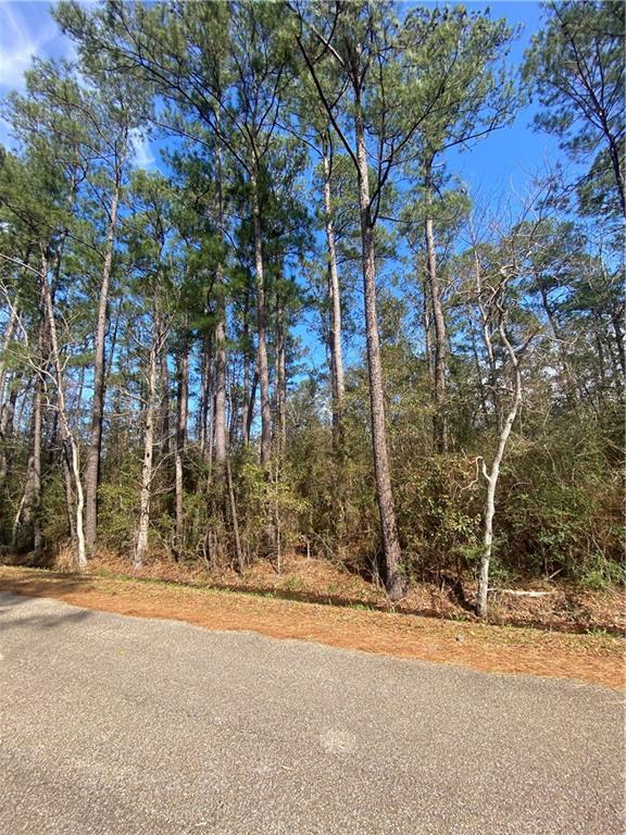0 Maria Drive Lacombe, LA 70445 - Photo 2 of 3