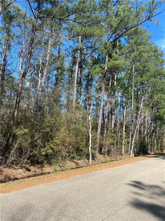 0 Maria Drive Lacombe, LA 70445 - Photo 3 of 3
