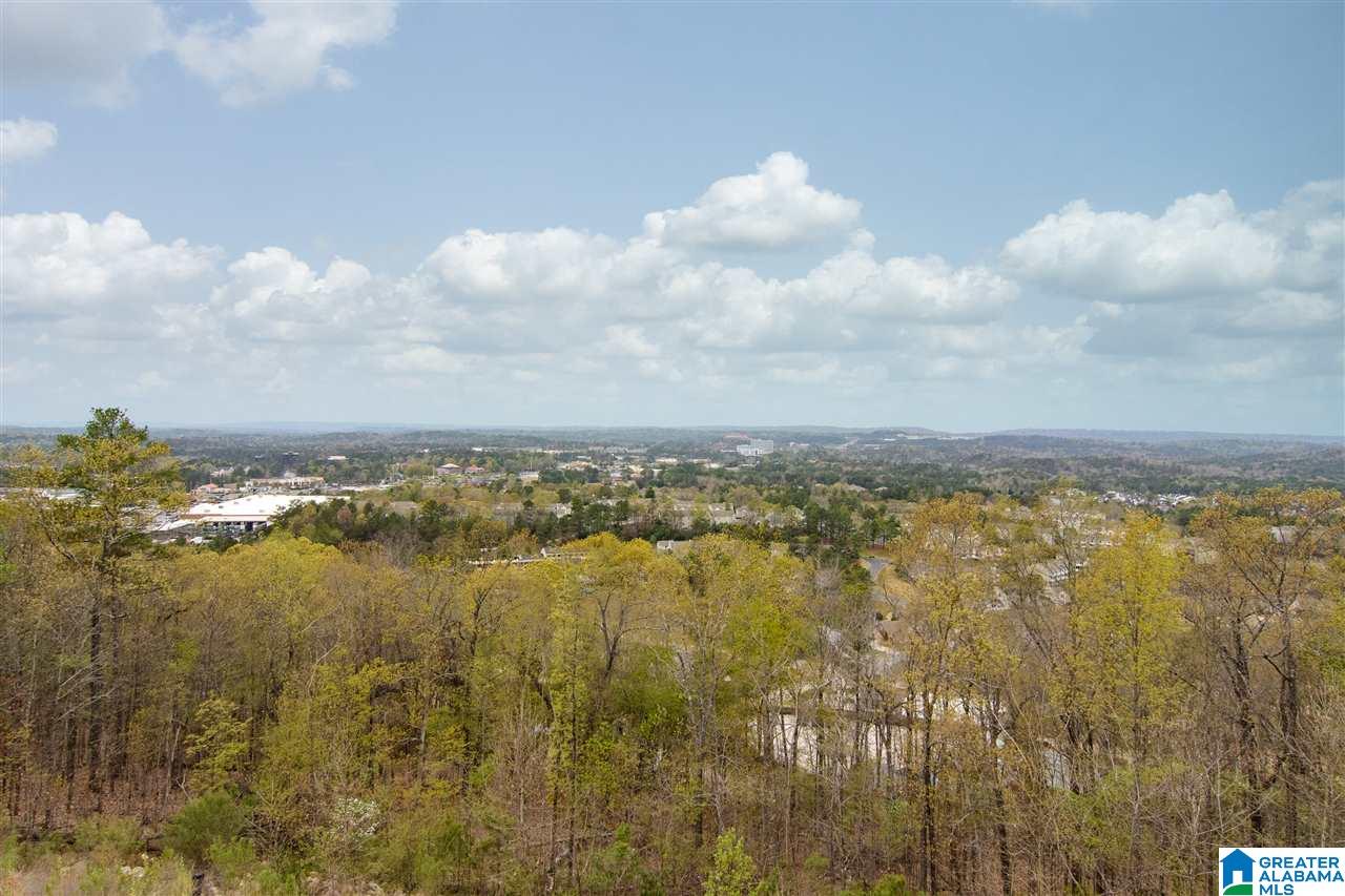 4076 Eagle Ridge Court Birmingham, AL 35242 - Photo 31 of 41