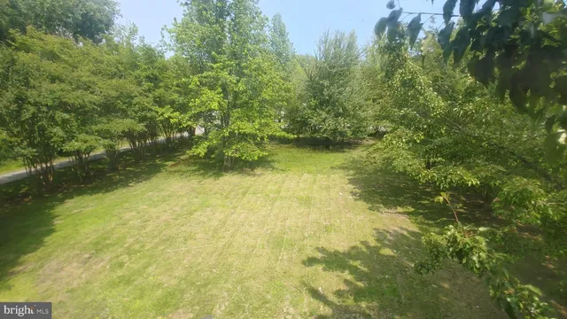 a view of a yard