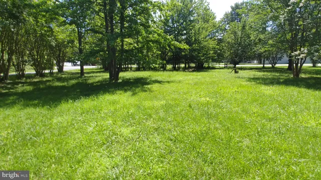 a view of park with trees