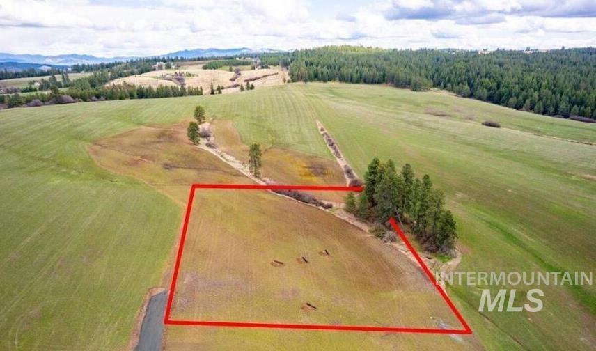 Nka Clifford Road Princeton, ID 83857 - Photo 1 of 21