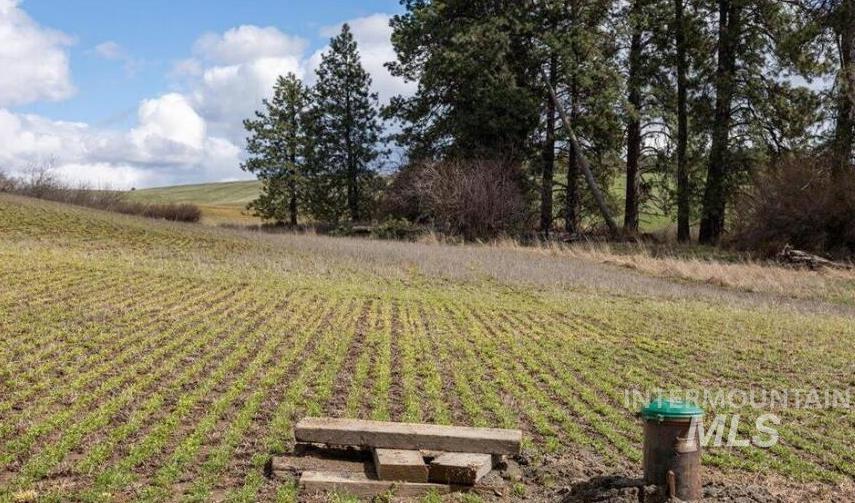 Nka Clifford Road Princeton, ID 83857 - Photo 7 of 21