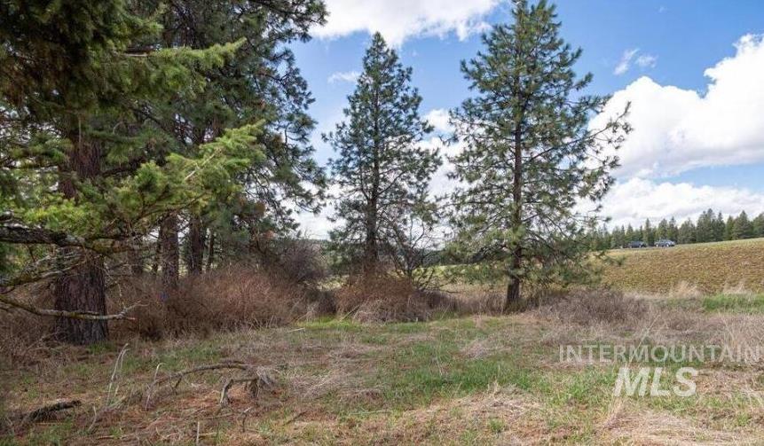 Nka Clifford Road Princeton, ID 83857 - Photo 8 of 21