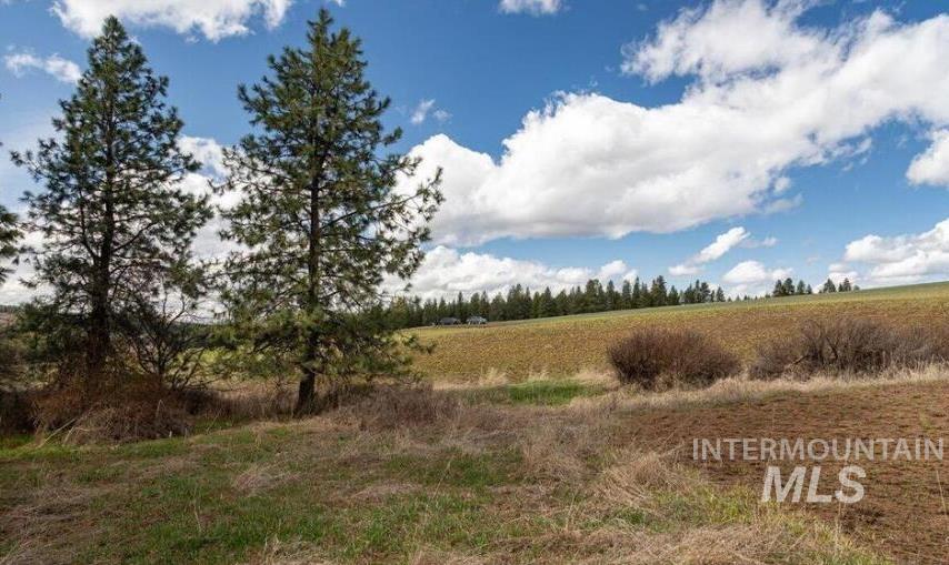 Nka Clifford Road Princeton, ID 83857 - Photo 9 of 21