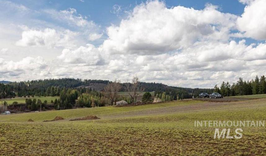 Nka Clifford Road Princeton, ID 83857 - Photo 10 of 21