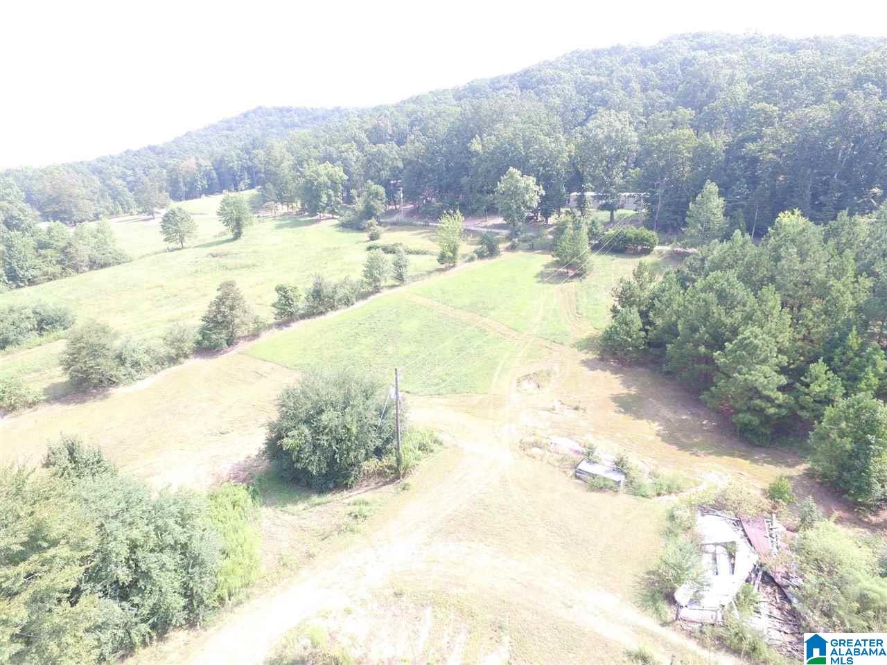 Cove Acres Road, Unit 12 89 Odenville, AL 35120 - Photo 3 of 37