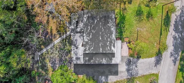a view of a yard with plants and large trees
