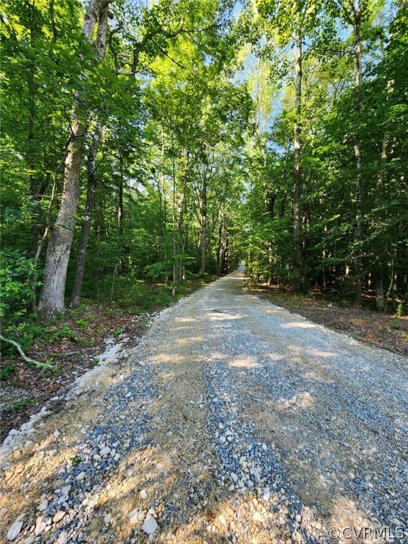 13522 Verdon Road Ruther Glen, VA 22546 - Photo 4 of 42