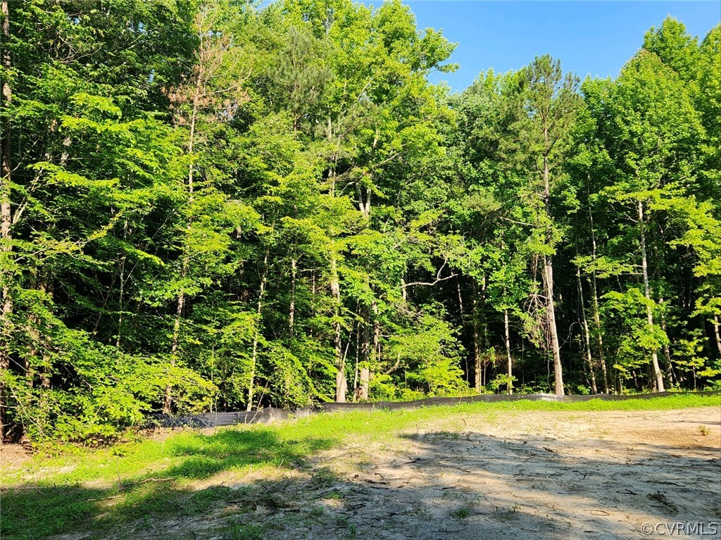 13522 Verdon Road Ruther Glen, VA 22546 - Photo 5 of 42