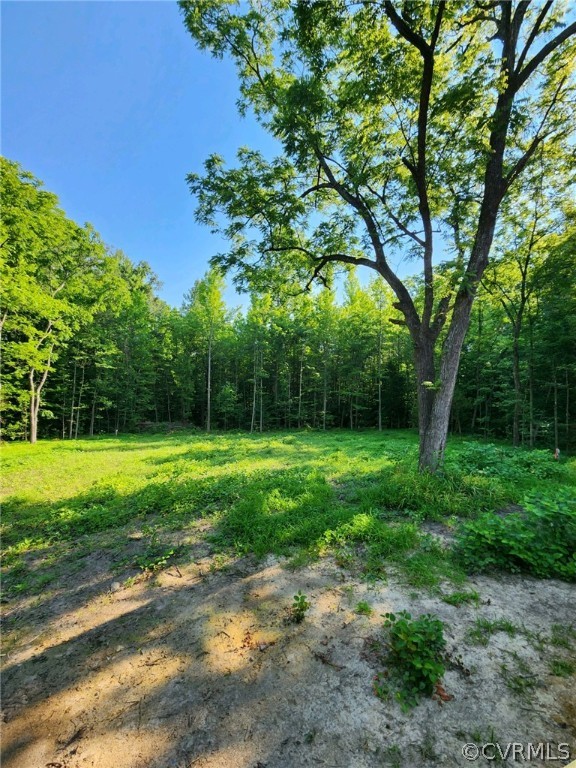 13522 Verdon Road Ruther Glen, VA 22546 - Photo 6 of 42