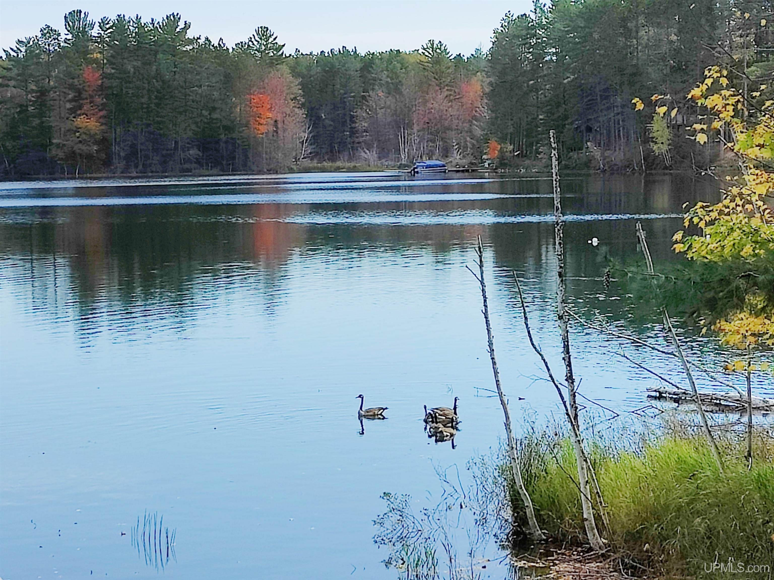 N3876 Lost Lake Road Wetmore, MI 49895 - Photo 69 of 76