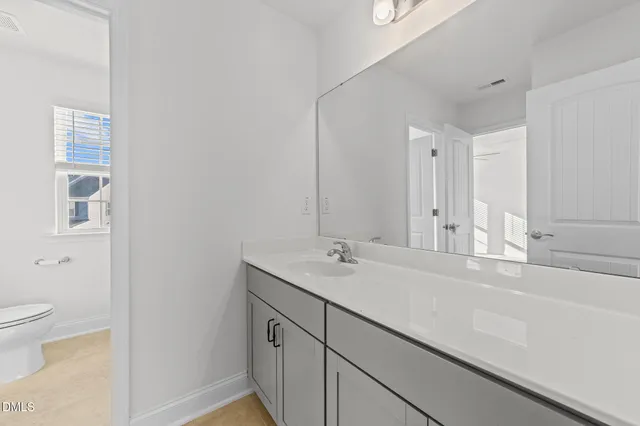 a bathroom with a sink and a toilet