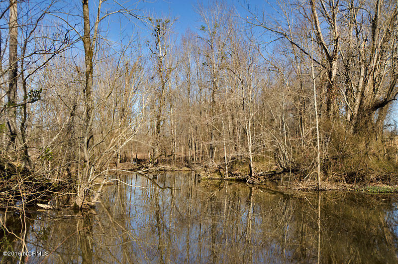 4 Rommie Daniels Road Castalia, NC 27816 - Photo 6 of 6 6
