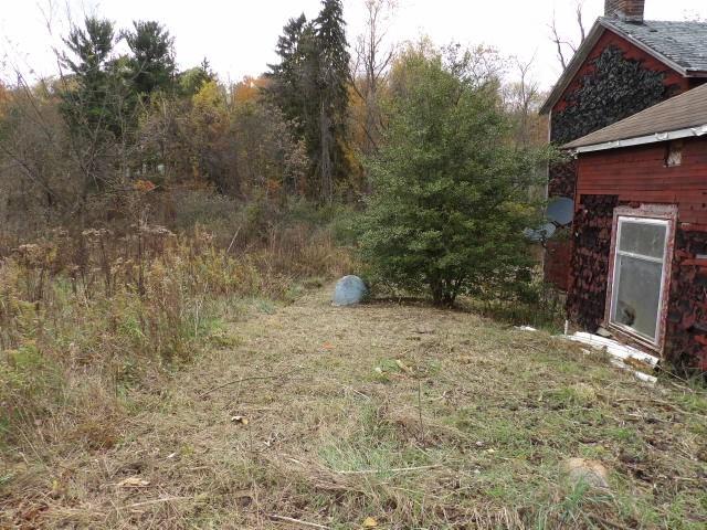 1047 Cinder Road Dunbar, PA 15431 - Photo 15 of 20 a backyard of a house with lots of green space