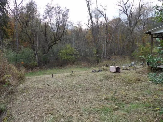 a view of a house with a tree